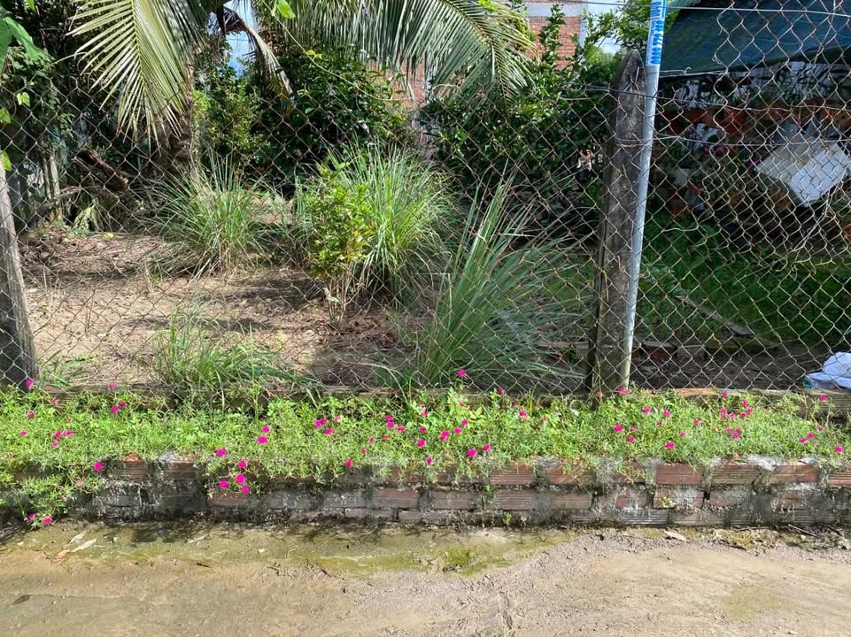 Đất nền Diên Lâm 190m² giá 970 triệu - Phù hợp định cư lâu dài!