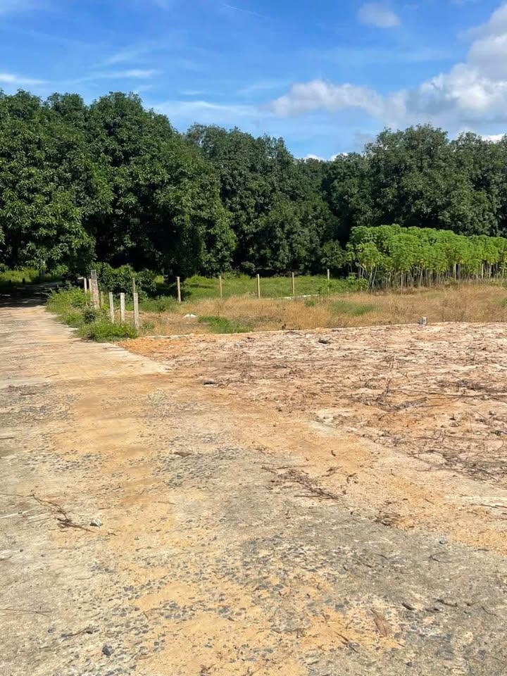 Đất nền Suối Tân Cam Lâm 83m² giá từ 774 triệu - Đầu tư sinh lời ngay!