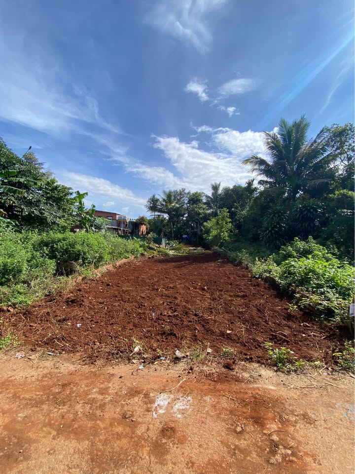 Bán mặt tiền đường D3 Buôn Ma Thuột 180m² giá 1.89 tỷ - Vị trí đắc địa, tiện ích đầy đủ!