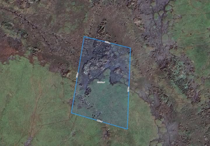 Đất nông nghiệp Tân Bình 1.1 mẫu giá 1.6 tỷ - Đầu tư sinh lời ngay!