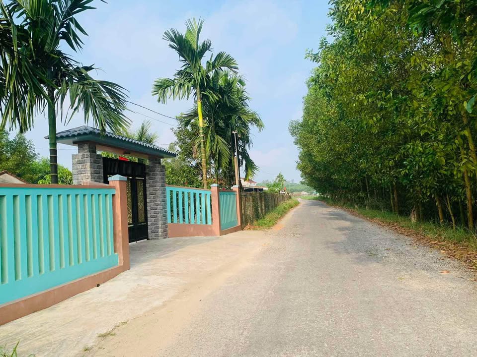 Đất nền Tịnh Bình Sơn Tịnh 330m² giá 900 triệu - Vị trí đẹp, thuận lợi kinh doanh!