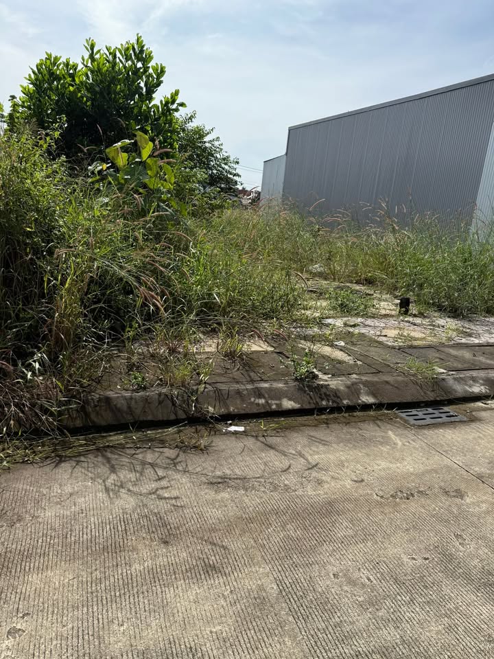 Đất nền 154m² Đắk Wer giá chỉ 800 triệu - Cơ hội đầu tư hấp dẫn!