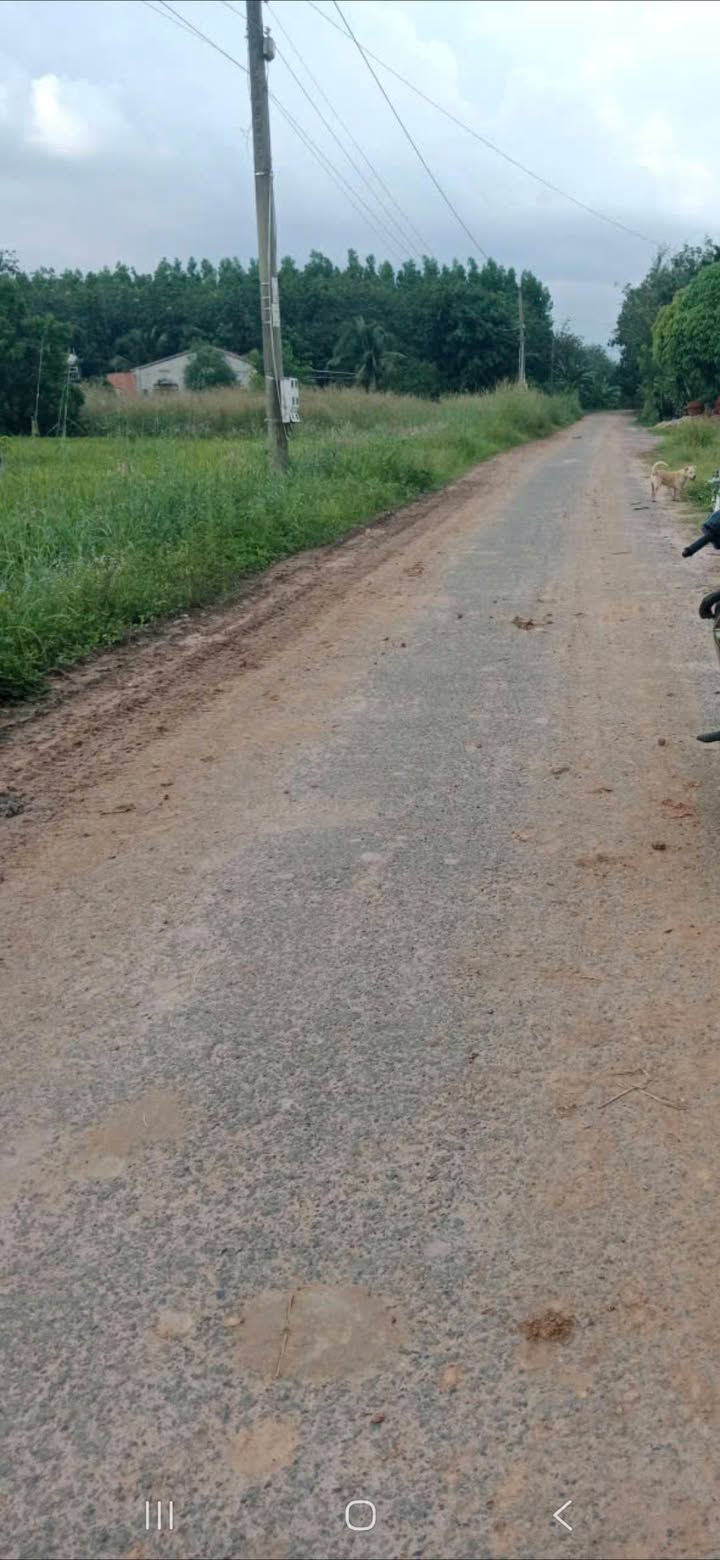 Đất nền Thạnh Bắc Tân Biên 29,000m² giá 1.3 tỷ - Đầu tư sinh lời ngay!