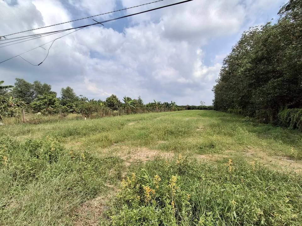 Đất nền Long Hoa Tây Ninh 2843m² giá 1.35 tỷ - Đầu tư sinh lời ngay!