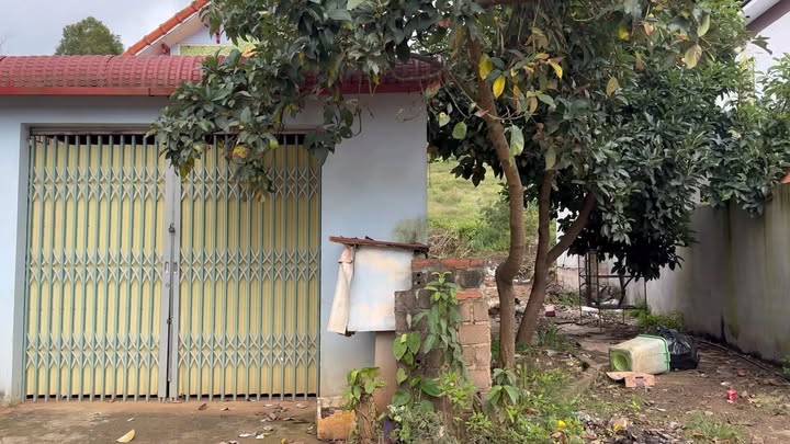 Đất vàng Mộc Châu 240m² giá thỏa thuận - Cơ hội đầu tư hấp dẫn!