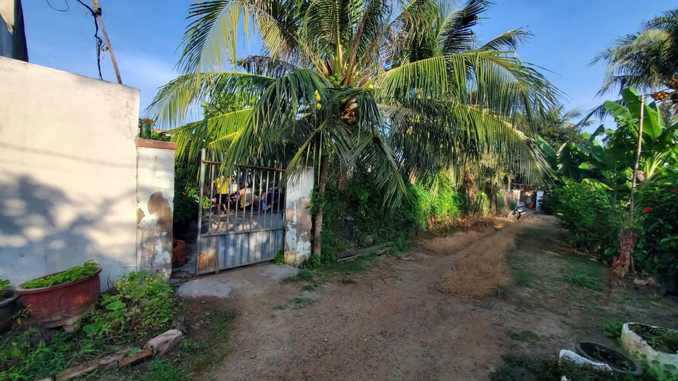 Đất nhà vườn 319m² Đài Sơn - Giá chỉ 1.7 tỷ, cơ hội đầu tư tuyệt vời!