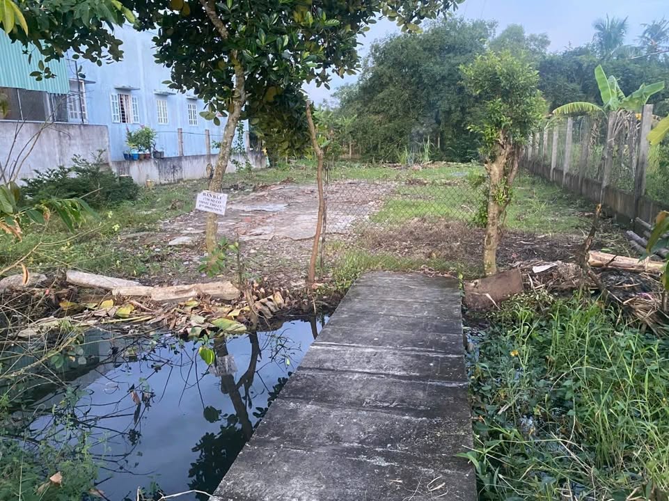 Đất Phước Lý, Cần Giuộc 730m² giá 5.6 tỷ - Cơ hội đầu tư tuyệt vời!