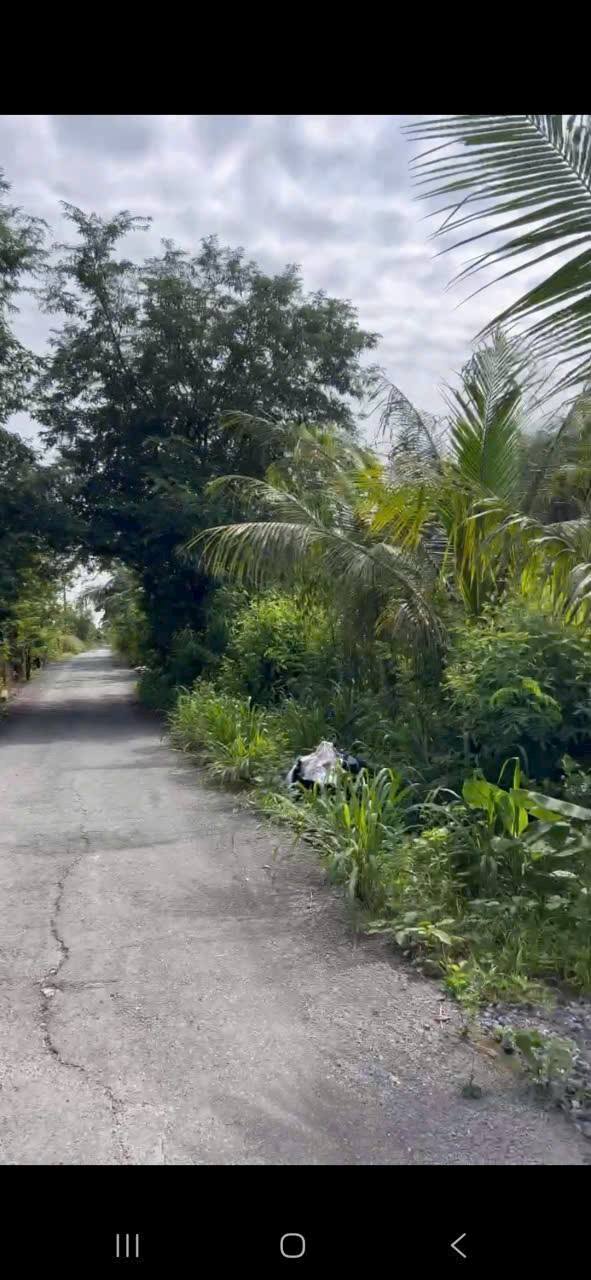 Đất nền 115m² An Lục Long, Châu Thành, Long An - Giá chỉ 350 triệu!