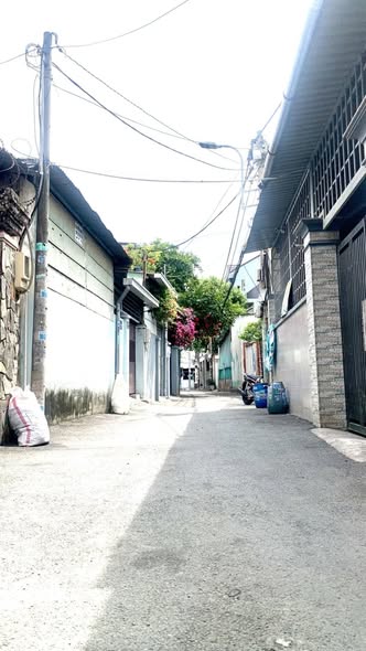 Đất nền Tam Phú Thủ Đức 129m² giá 5 tỷ - Đầu tư sinh lời ngay!