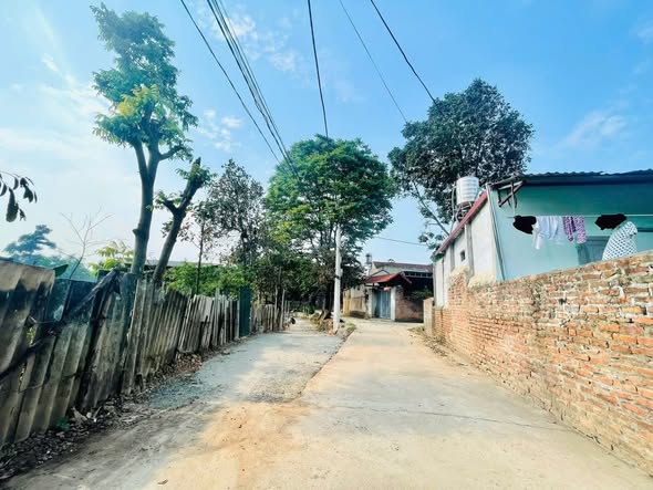 Đất nền Trạch Mỹ Lộc, Phúc Thọ 69m² giá chỉ 20 triệu - Đầu tư sinh lời ngay!