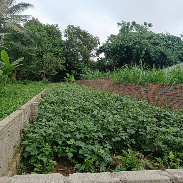 Đất nền An Tường Tuyên Quang 120m² giá 1 tỷ - Bán gấp chính chủ!