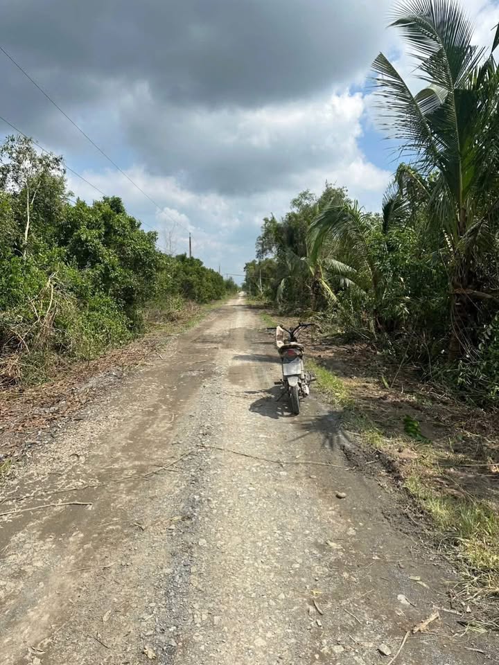 Đất vườn 1100m² mặt tiền đường tại Tân Thành, Thủ Thừa - Giá chỉ 980 triệu!