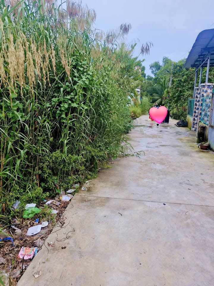 Đất nền KDC Phúc Giang Bến Lức 90m² giá 850 triệu - Sổ hồng riêng, công chứng ngay!