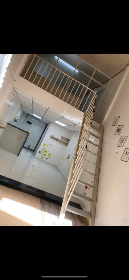 Nhà nguyên căn cho thuê tại Phường 2, Tây Ninh - Giá chỉ 3 triệu/tháng!