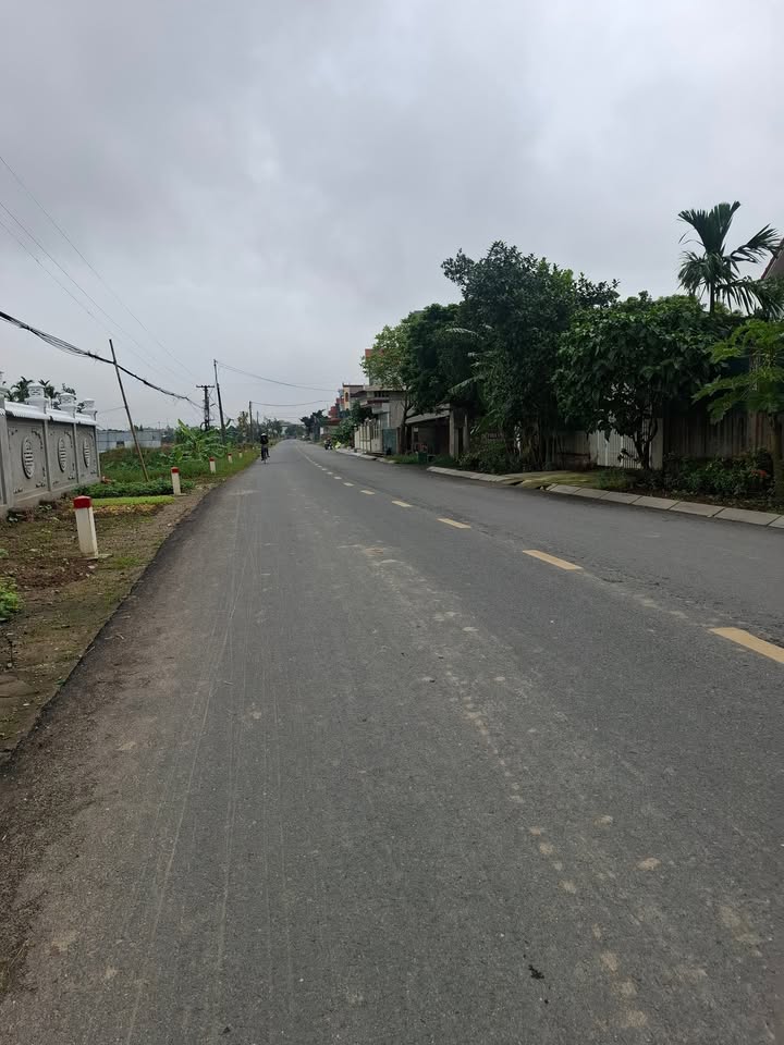 Đất thổ cư Tân Trường, Cẩm Giàng 71m² - Vị trí đẹp, giá cực rẻ!