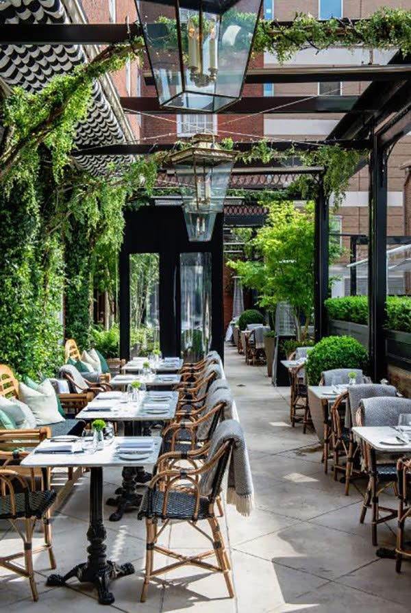 Biệt thự sân vườn đường Lê Hồng Phong 750m² - Cho thuê sang trọng tiện nghi!