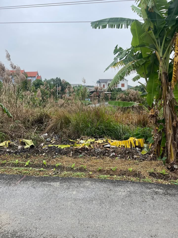 Đất nền 86m² Đông Bình, Gia Bình, Bắc Ninh giá chỉ 2 tỷ - Đường ô tô thông thoáng!