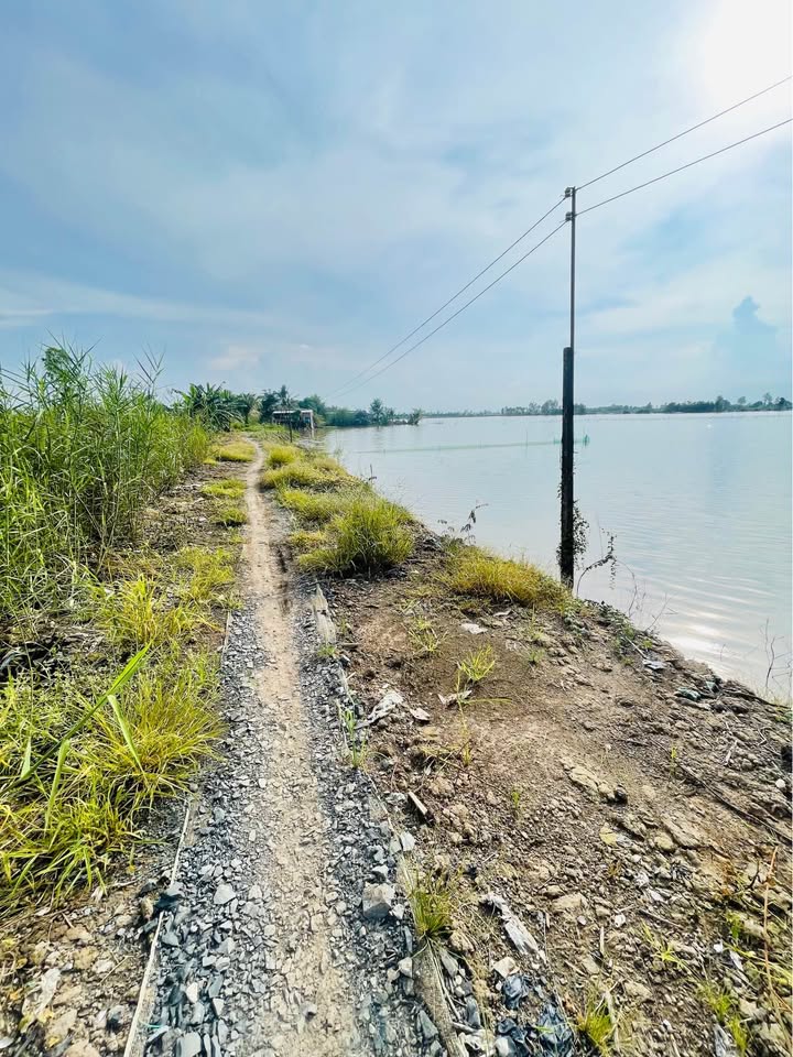 Đất nông nghiệp Nhị Mỹ, Cao Lãnh 25.000m² giá 625 triệu - Cơ hội đầu tư tuyệt vời!