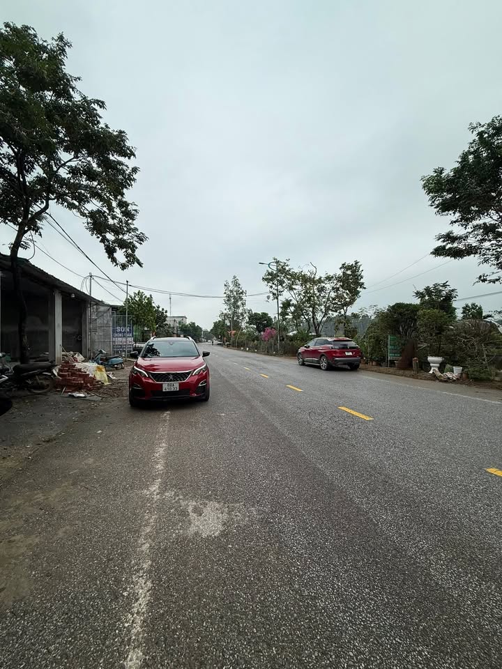 Đất kinh doanh mặt tiền Tỉnh lộ 302, Tam Quan, Tam Đảo 147m² giá 2 tỷ - Cơ hội đầu tư hấp dẫn!