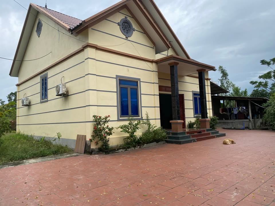 Đất đẹp tại TT. Hợp Châu, Tam Đảo 1.800m² - Phong thủy tốt, giá chỉ 1.9 tỷ!