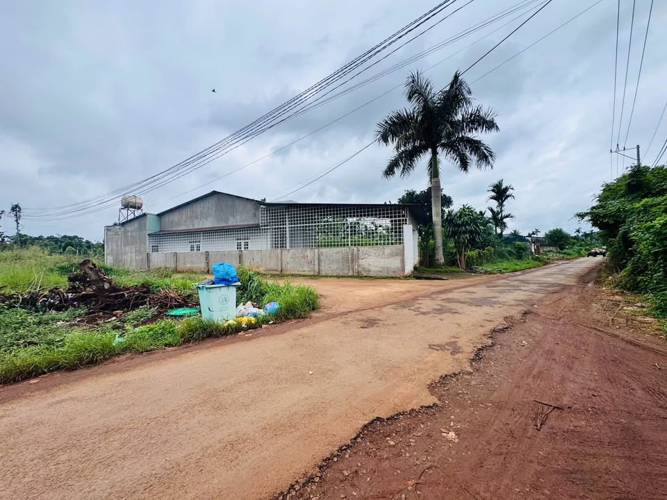 Đất nền Hòa Thắng Buôn Ma Thuột 700m² giá 7.2 tỷ - Đầu tư sinh lời ngay!