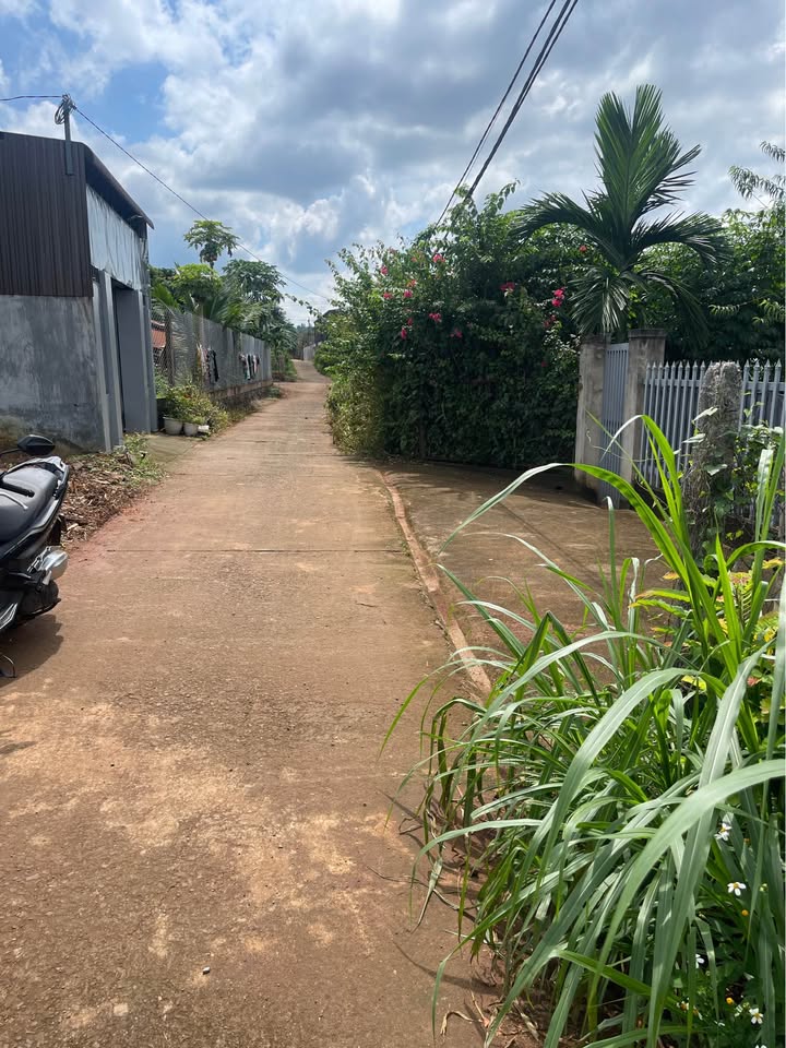 Đất thổ cư 320m² tại Cư Êbur, Buôn Ma Thuột giá chỉ 1.2 tỷ - Vị trí đẹp, tiện ích đầy đủ!