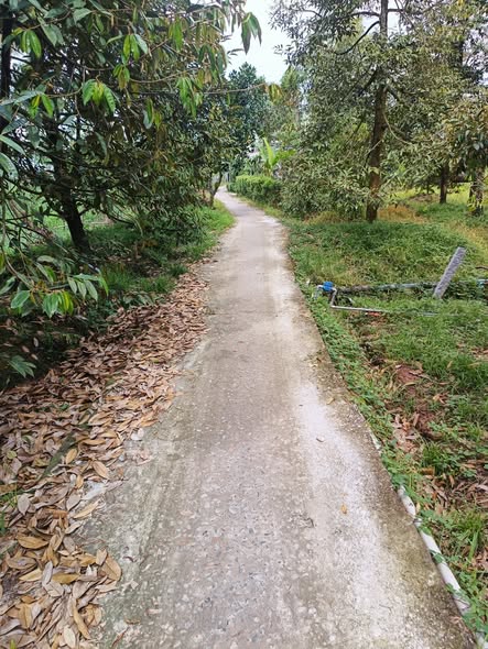 Đất Nền 816m² Ngu Hiệp, Cái Bè - Giá 1.5 tỷ, Đường Thông Xe Hơi