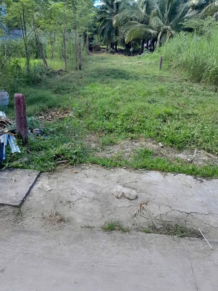 Đất nền phường Trung An, Đồng Tháp 112m² giá 600 triệu - Cơ hội đầu tư hấp dẫn!