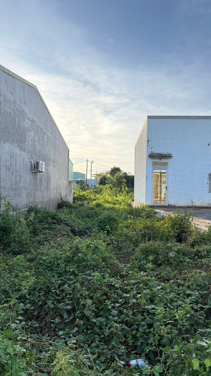 Đất nền thôn Hòa Bình, Nhơn Hòa, Chư Pưh 132m² - Cơ hội kinh doanh tuyệt vời!