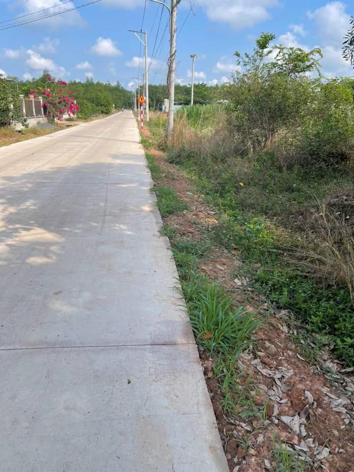 Đất đường 26, xã Tân Định, huyện Bắc Tân Uyên 250m² chỉ 1.15 tỷ - Cơ hội đầu tư tuyệt vời!