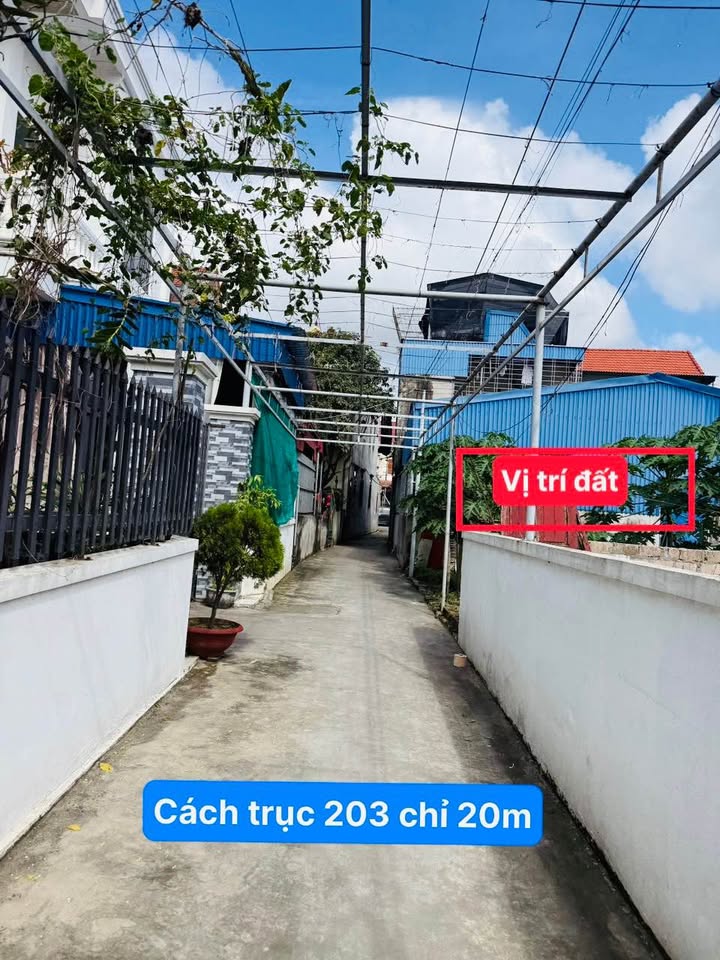 Đất nền Hoa Động Thủy Nguyên 45m² giá 1.5 tỷ - Vị trí trung tâm, tiện ích đầy đủ!