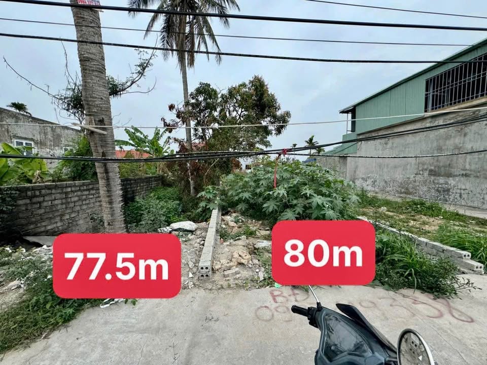 Đất nền Dương Kinh Hải Phòng 79m² giá chỉ 2 tỷ - Gần Vin Dương Kinh!