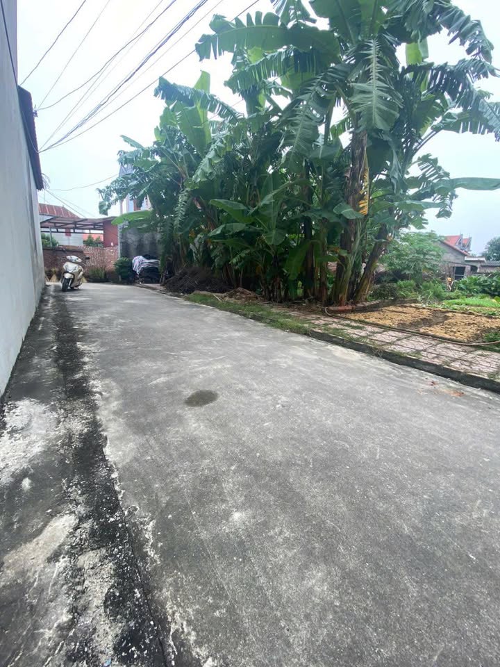 Đất thổ cư 117m² Lãng Sơn - Yên Dũng giá chỉ 800 triệu - Cơ hội đầu tư tuyệt vời!