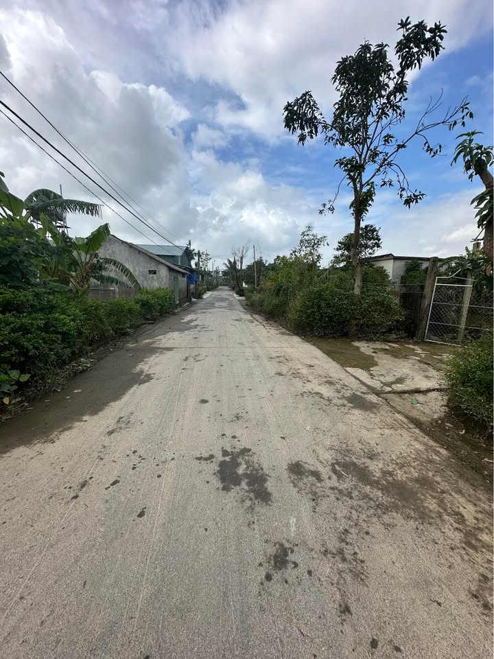 Đất thổ cư thôn Văn Minh, Tân Lâm Hương 150m² giá 1 tỷ - Cơ hội đầu tư tuyệt vời!