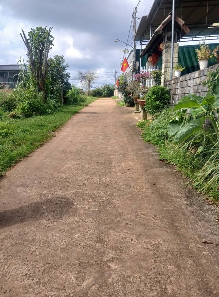 Đất nền Đức Mạnh Đắk Mil 288m² giá 890 triệu - Sổ hồng chính chủ, thương lượng nhẹ!