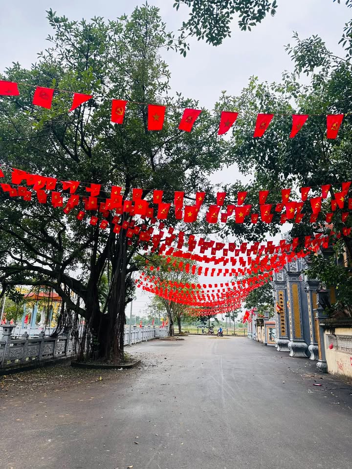 Đất nền Phù Khê Từ Sơn 55m² giá thỏa thuận - Vị trí tiềm năng cho đầu tư!