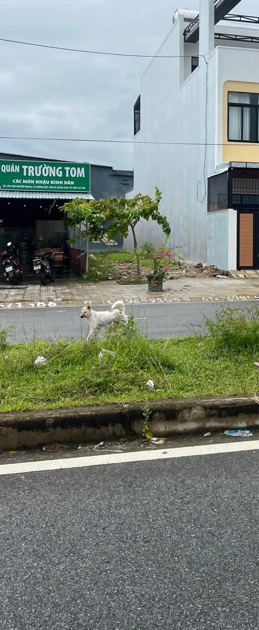 Đất nền Phường Bàn Thạch, Đà Nẵng 140m² giá 2.7 tỷ - Vị trí đắc địa, tiềm năng phát triển!