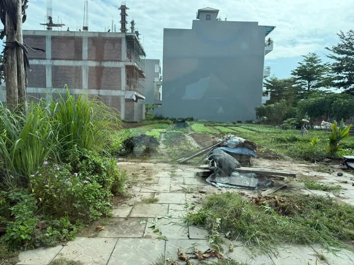 Đất thổ cư P. Thọ Xương, TP. Bắc Giang 125m² giá 4.9 tỷ - Tiềm năng sinh lời cao!