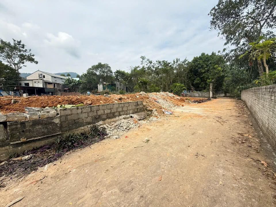 Đất thổ cư 211m² tại Quang Sơn, Lập Thạch - Chỉ 480 triệu VND!