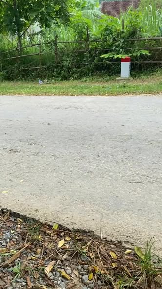 Đất thổ cư Cẩm Quý Cẩm Thủy 205m² giá 215 triệu - Vị trí đẹp, dân cư đông đúc!