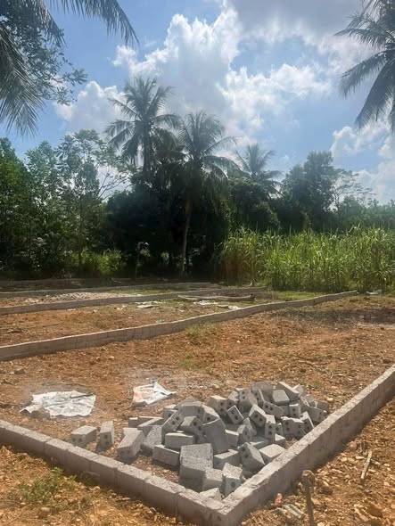 Đất nền Thành Minh Thạch Thành 350m² giá 200 triệu - Cơ hội đầu tư lý tưởng!