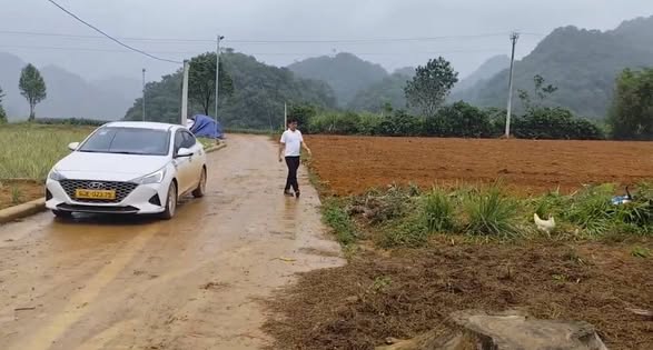 Đất nền tại Thạch Thành, Thanh Hóa 168m² giá chỉ 100 triệu - Cơ hội đầu tư hấp dẫn!