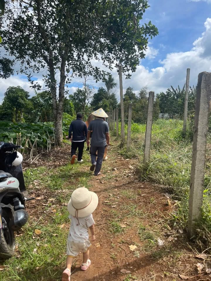 Đất nền Trần Nhật Duật Buôn Ma Thuột 400m² - Đầu tư sinh lời tiềm năng!