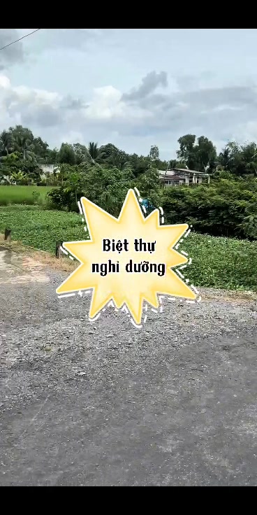 Đất nền 215m² xã Nhựt Tảo, huyện Tân Trụ, Long An - Giá chỉ 1.4 tỷ, thương lượng!