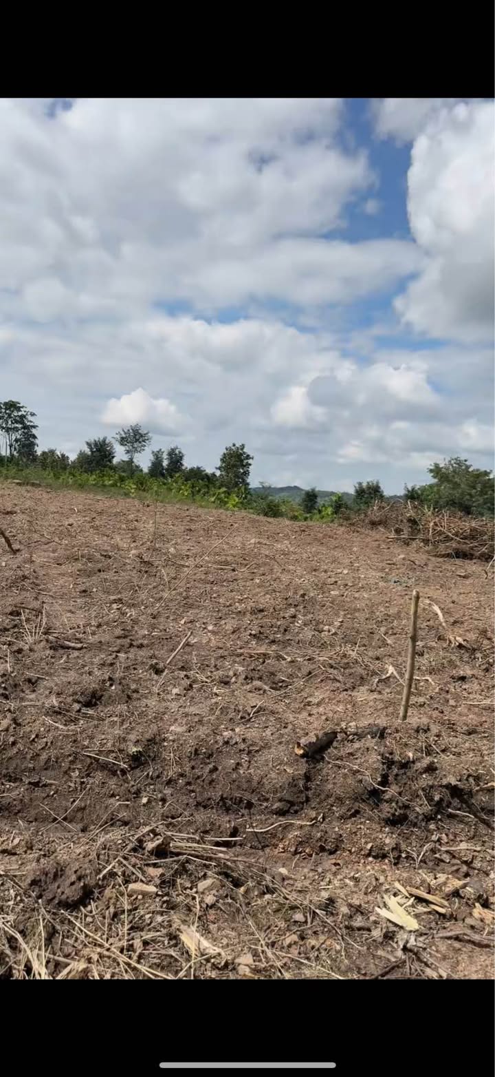 Lô đất 3570m² Ea M'Droh Đắk Lắk giá 555 triệu - Đầu tư sinh lời hấp dẫn!