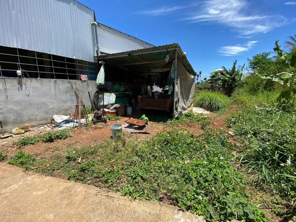 Đất nền Ea Kao - 203m² giá chỉ 950 triệu - Cơ hội đầu tư tuyệt vời!