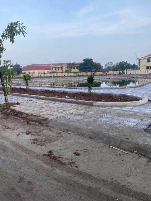 Đất nền xã Đông Phương, Đông Hưng 120m² giá chỉ từ 500 triệu - Cơ hội đầu tư hấp dẫn!