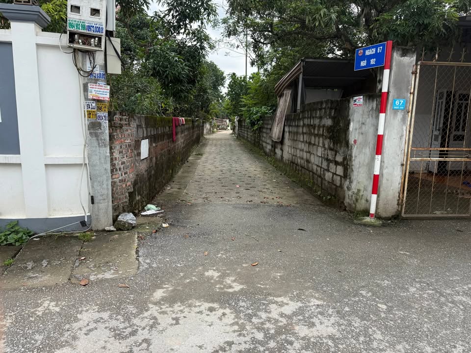 Đất Trác Văn, Duy Tiên 62m² giá 800 triệu - Đầu tư sinh lời ngay!