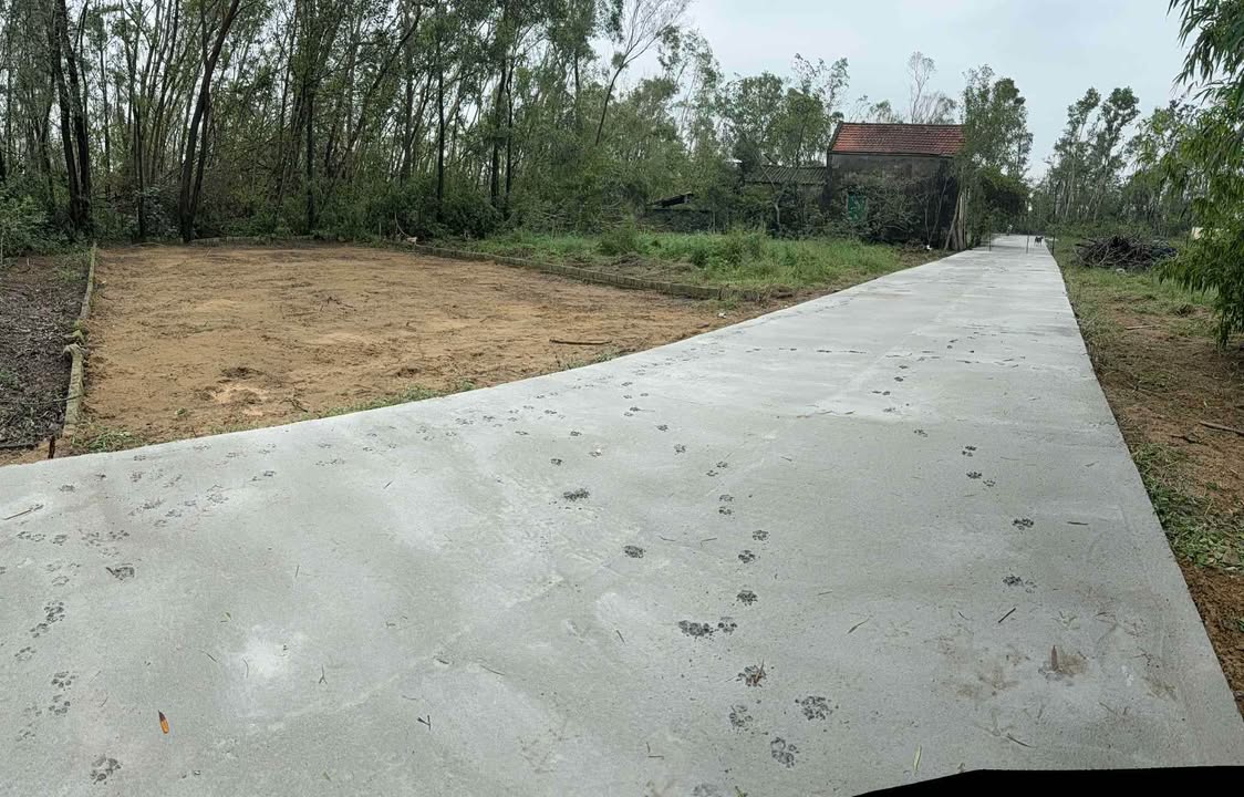 Đất Nghi Hương Cửa Lò 160m² giá 1 tỷ - Đầu tư sinh lời ngay!