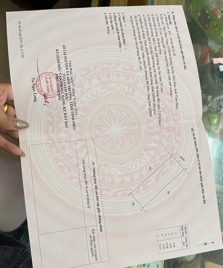 Đất nền 97m² tại Thôn Chùa Vàng, Tam Đảo - Giá chỉ 800 triệu!